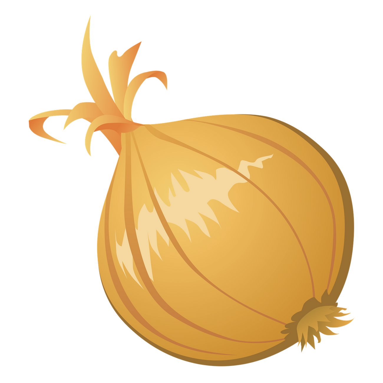 Onion png sticker vegetable illustration