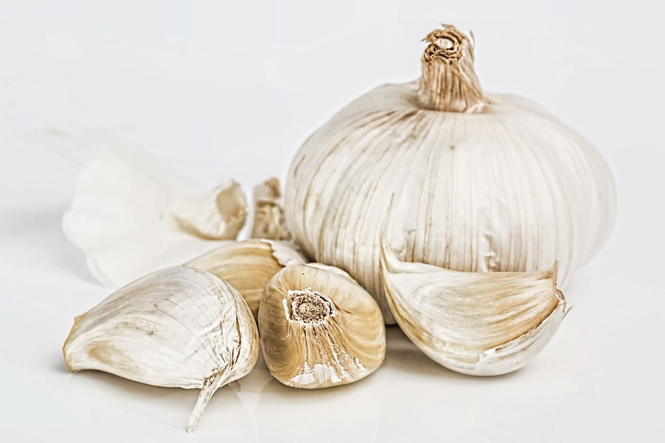 Free garlic photo